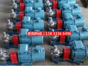 不锈钢圆弧齿轮泵