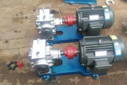 不锈钢保温齿轮泵