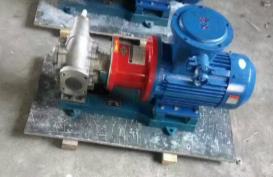 不锈钢磁力齿轮泵